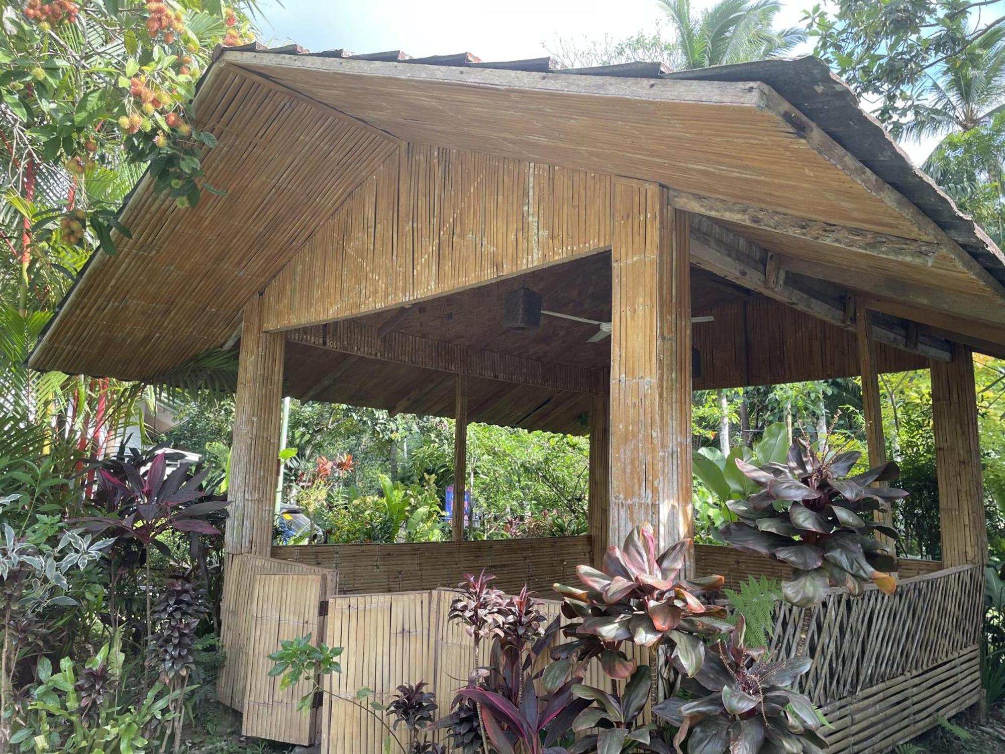 Mayas Nest Nagcarlan Buitenkant foto