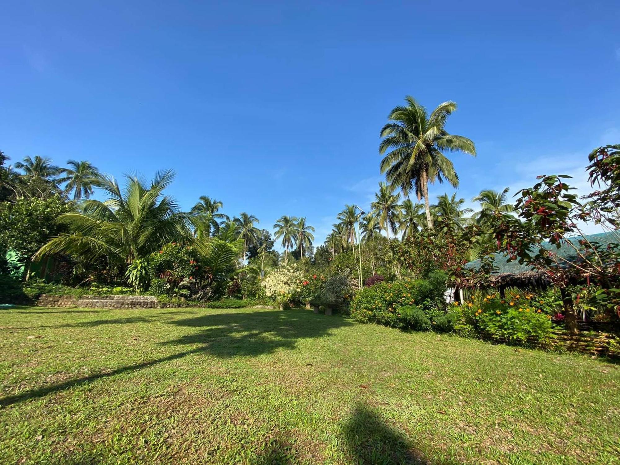 Mayas Nest Nagcarlan Buitenkant foto