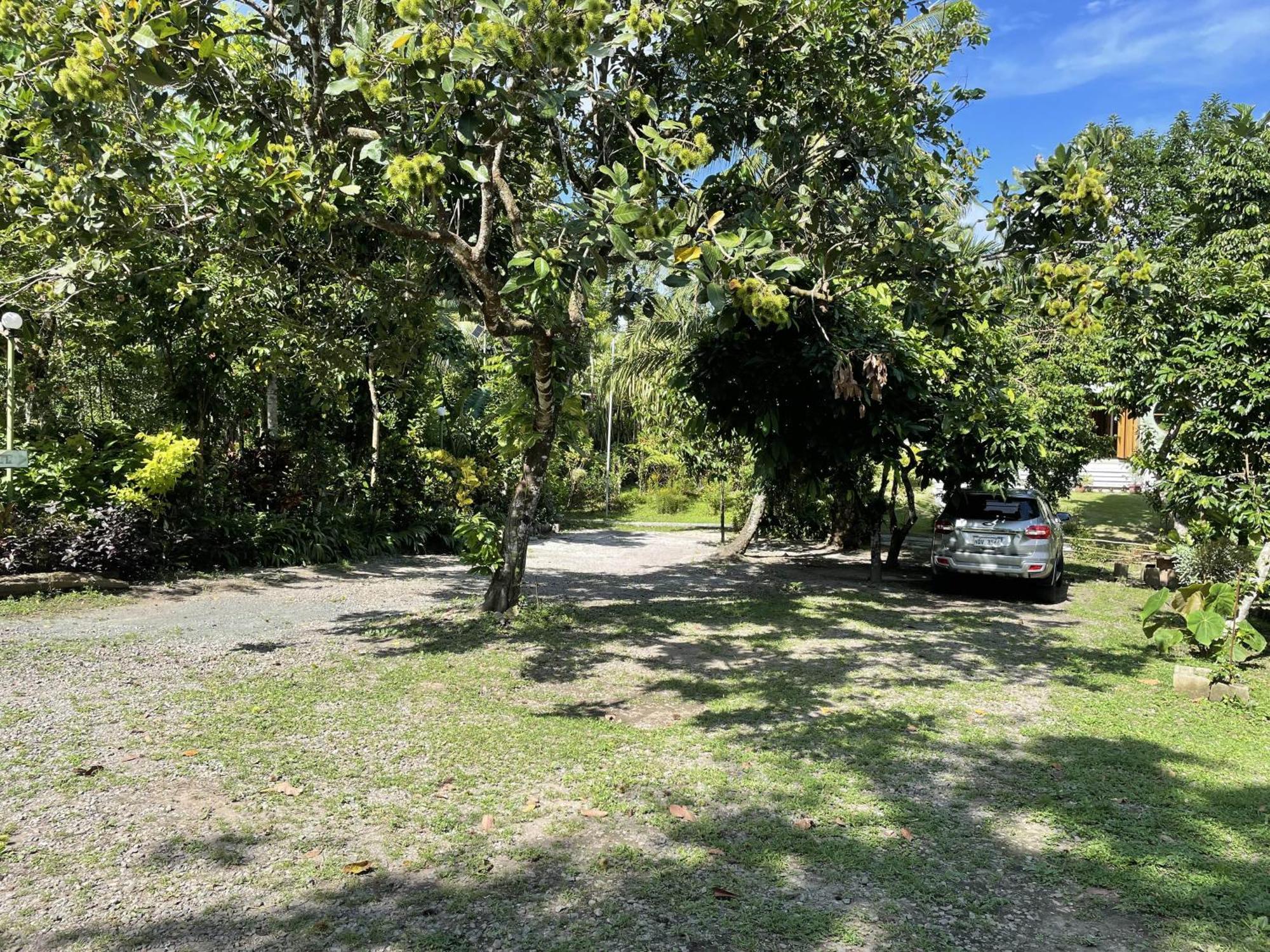 Mayas Nest Nagcarlan Buitenkant foto